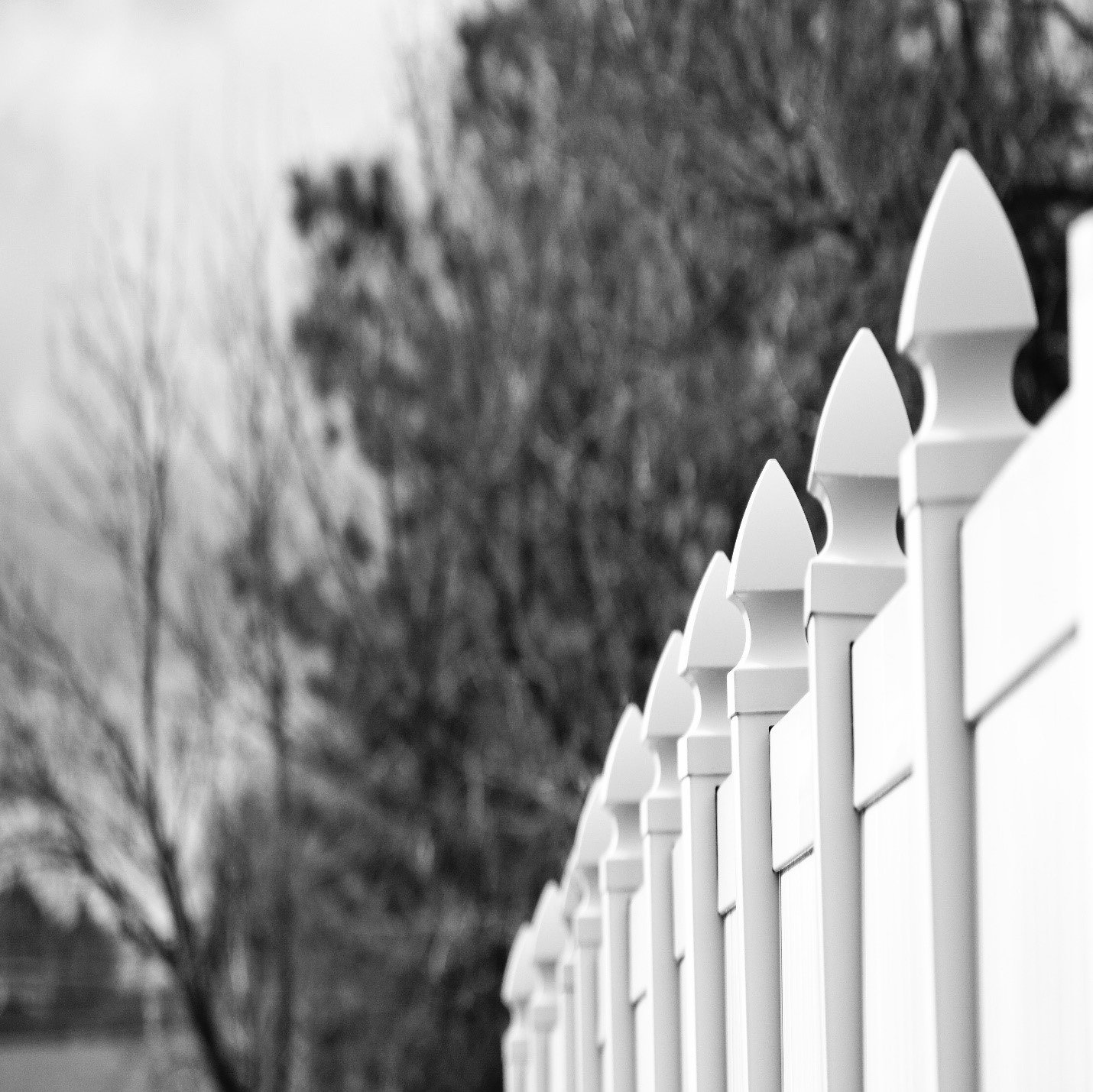 You are currently viewing Tips for Fence Maintenance