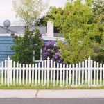 Pet-Friendly Fencing Solutions for Your Beloved Animals