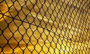 Read more about the article Fencing for Commercial Properties: Security and Aesthetics